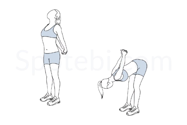Biceps Stretch